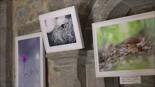 Nad&egrave;ge TALAGRAND - PHOT'Aubrac 2018