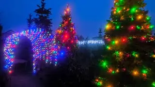 12.01.2026 Резко с (+4) на (-15) Какая зимовка ждёт  розарий ???