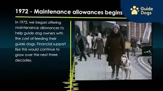 The History of Guide Dogs | Accessible Version