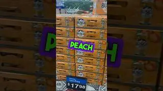 Busch Light Peach 🍺 Should I get it? #buschlight #beer