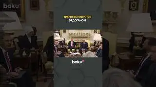 Дональд Трамп о возможности немедленной отмены санкций против Турции