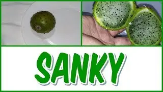 BENEFICIOS Y PROPIEDADES DEL SANKY
