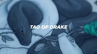 TAO OF DRAKE - 2023 SNOWBOARD