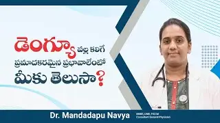 Dengue Fever: Symptoms, Prevention and Public Health Awareness | Dr. Navya, General Physician