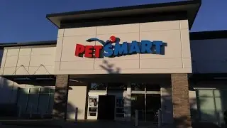 Getting a new ceramic heater for my LEOPARD GECKO!
