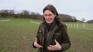 Meet Hannah Fraser, 2023 Nuffield Farming Scholar