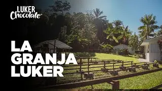 Fine Flavour Cocoa - La Granja Luker