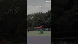 horalaga 500meter #semarangjateng #inlineskate #jatidiristadium