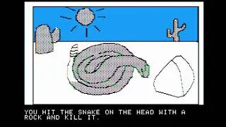 Wizard and the Princess (1980) -First color adventure game