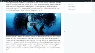 How to Disable Right Click on WordPress Video.js Player