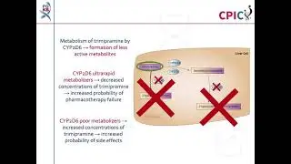 CPIC guideline for trimipramine and CYP2C19, CYP2D6