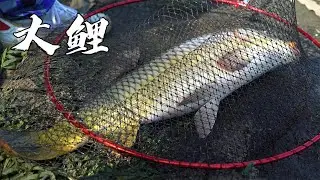 【湖库突击队】海南巨物如此難釣！蛇鼠清道夫閙窩，魚口稀疏終究敗北！| 海釣江湖