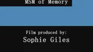 Multistore model of memory