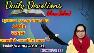 Daily Devotion (November 15) Isaiah 40:30,31 We need to renew our strength like that of an eagle