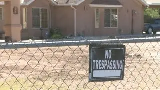 High bond set in animal-cruelty case