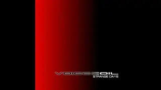 Voicecoil - A Line In The Sand