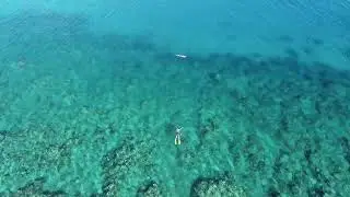 Awesome snorkeling off the beach @ Lawaki Beach House  #lawakibeachhouse #Fijinow #BeqaFiji #ocean