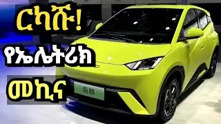 Electric car price in Ethiopia/BYD seagull 2023