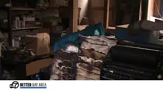 Small California businesses victims of arson, possibly 'racially motivated' crime spree