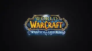 Leveling as a Multiboxer - Level 20 to 21