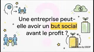 Caract&eacute;ristiques des Structures d'Insertion par l'Activit&eacute; &Eacute;conomique Expliqu&eacute; by LRDCIP