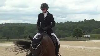 Molly Hennelly & Savedthebettforlast Bouckaert Farm Area 3 Championship 2024