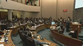 Alderman, alderperson, alderwoman?  The great City Council debate continues
