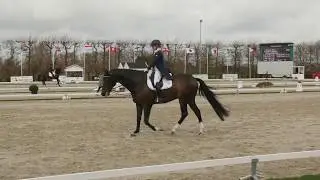 Juliette RAMEL SWE Grand Prix CDI Zeeland 2018 BURIEL K.H.