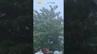 TODAY Barish 🌧⛈️ BETTIAH,BIHAR #rain #todayweatherupdate #weather  #Bettiahbihar