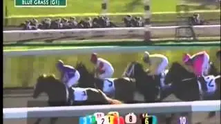 2014 Blue Grass Stakes G1