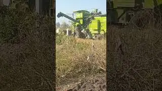 kissan#vlog short# viral #short