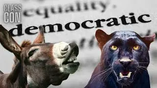 Revolutionary Politics & Vanity Politics