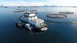 Ellingsen Seafoods oppdrettsanlegg - Skarvhausen