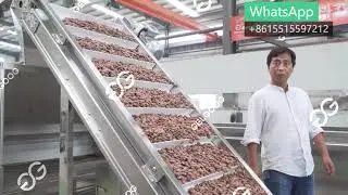 Cocoa Powder Production Equipment / Cacao Processing Machines