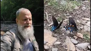 Ep. 49 Noland Creek - 2025 July 8 (Sylvan Reflections)