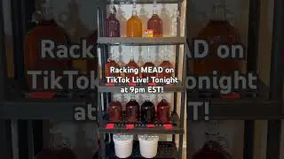 Racking MEAD on TikTok Live! Tonight at 9pm EST! #mead #meadmaking #homebrew #diy #tiktoklive