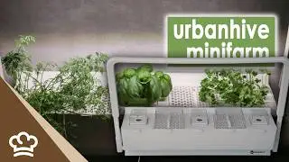 urbanhive minifarm 🌿 | Indoor Garten Test