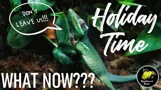Leaving Your Reptiles & Aquariums When On Holiday