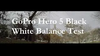 GoPro Hero 5 Black - White Balance Test