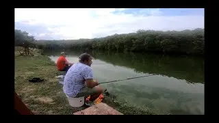 O frumusețe pe balta de pescuit Cozieni