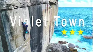 🇦🇺 (chipped) Climbing Violet Town (24) - Diamond Bay