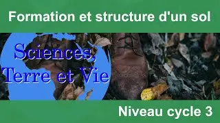 Formation et structure d'un sol