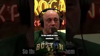 How BRUTAL and RUTHLESS the MONGOLS Were - Joe Rogan