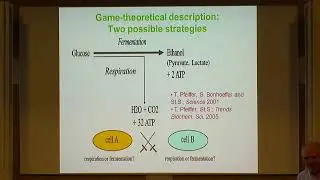 Stefan Schuster | Game-theoretical approaches in microbiology