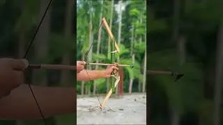 Bamboo Creations with DIY  crossbow #Bamboo #Slingshots #Bambooart #Diy