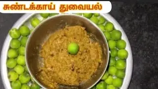 Sundakkai thogayal -fresh turkey berry chutney 