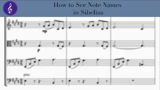 How to See Note Names in Sibelius