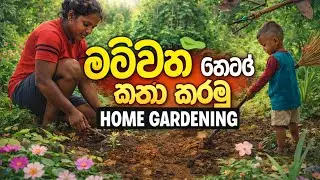 අලුත් විස්තර ටිකක් අරන් ඔන්න දිගටම එන්න ලෑස්තිය, අලුත්ම විදිහට පෙර සූදානම @sakuvlog-official