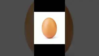 World record egg on Youtube. We got this👐