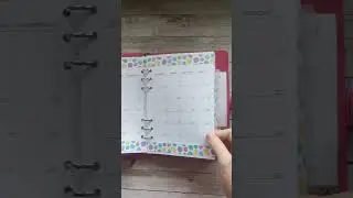 May flipthrough in my hybrid planner